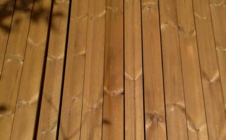 ترموود | چوب ترمو | گره درختان